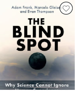 The Blind Spot