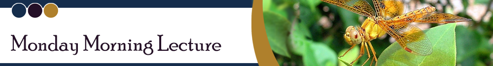 LifeLong Learning at PebbleCreek, Inc.