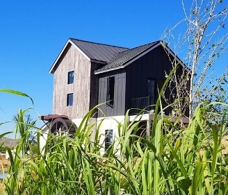 Photo of Old Queen Creek Olive Mill